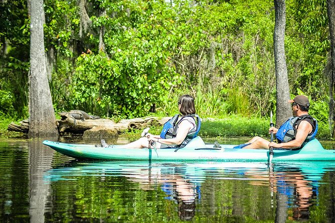 Small-Group Manchac Swamp Kayak Tour With Local Guide - Tour Inclusions and Logistics