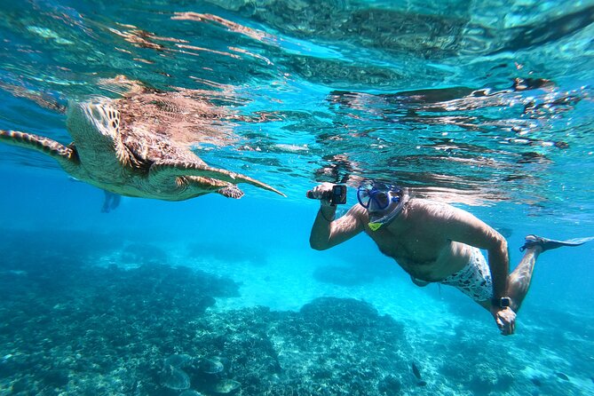 Snorkeling Adventure to Daymaniat Islands - Inclusions and Amenities