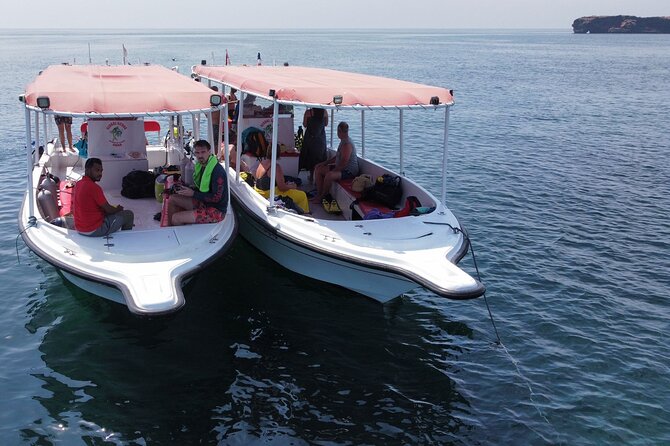 Snorkeling Trips to Daymaniat Islands Sharing Trip - Meeting and Pickup Details