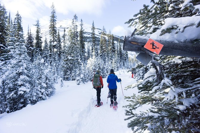 Snowshoeing in Kananaskis - Taking in Kananaskis Scenery