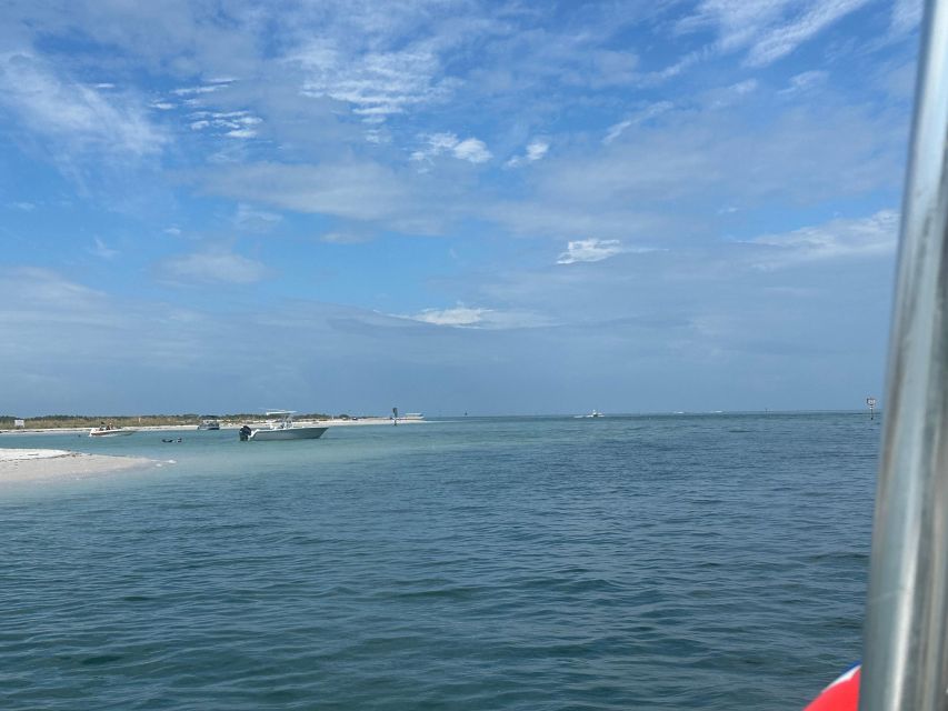 St Petersburg, FL: 3 Hour Islands Hopping Eco Tour - Activities Included