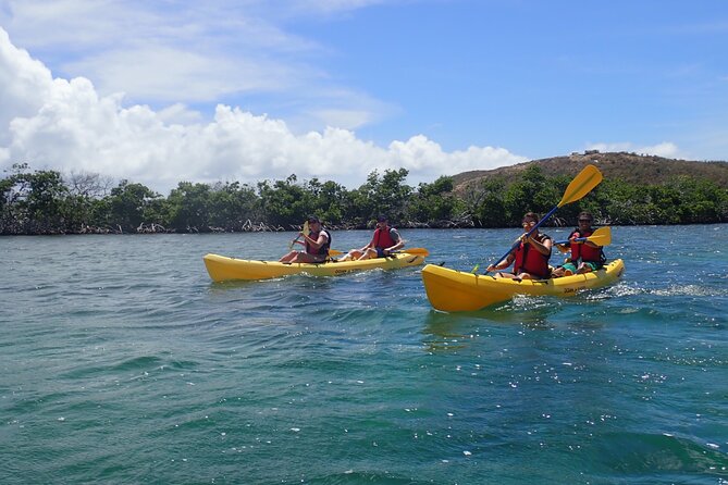 St Thomas Shore Excursion: Mangrove Lagoon Kayak and Snorkel Tour - Maximum Capacity