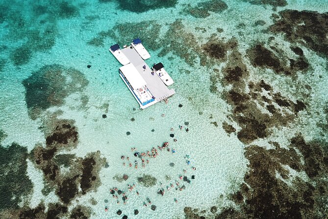 Stingray City Experience Antigua - ROUND TRIP INCLUDED - Pickup and Meeting Point Details