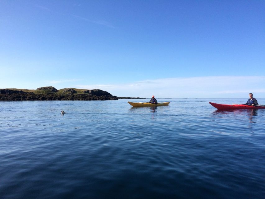 Stykkishólmur: 2-Hour Sea Kayak Tour - Depart From Stykkishólmur