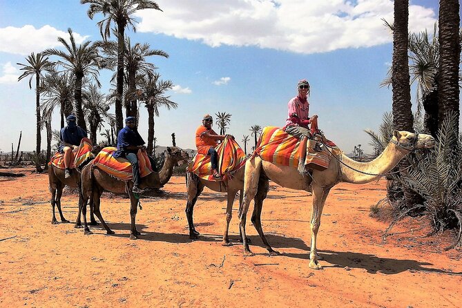 Sunset Camel Ride Tour in Marrakech Palm Grove - Included in the Tour