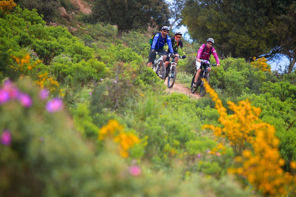 Sunset Mountain Electric Bike Gulf of Saint-Tropez - Exploring Singletrack Trails