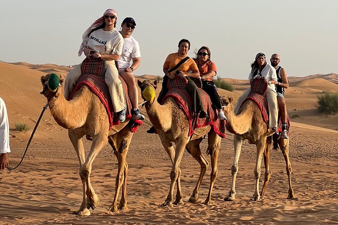 Sunset Safari With BBQ Dune Drive Camel Ride & Dune Buggy Option - Camel Riding Adventure