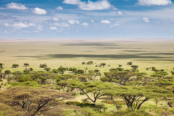 Tanzania Through The Rift Valley - 5 Days - Accommodation and Meals