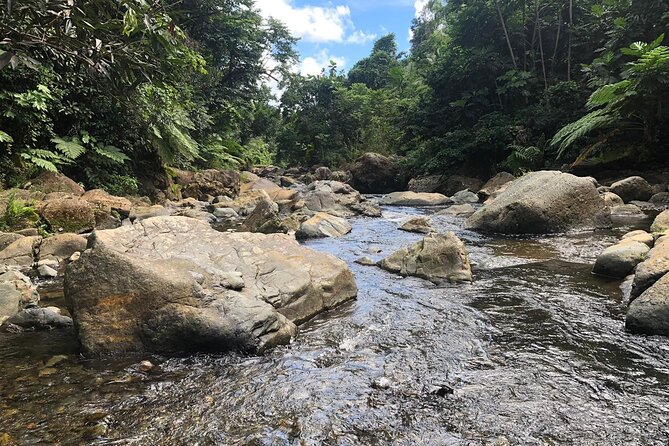 The El Yunque National Forest and Luquillo Beach Combo - Visiting Luquillo Beach