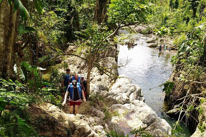 The Original El Yunque Rainforest Waterslide Tour - Meeting and Pickup