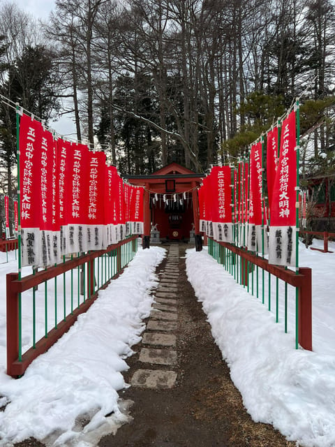 Tokyo: A Memorabele Snow Monkey Park and Zenkoji Temple Tour - Tour Experience and Customization