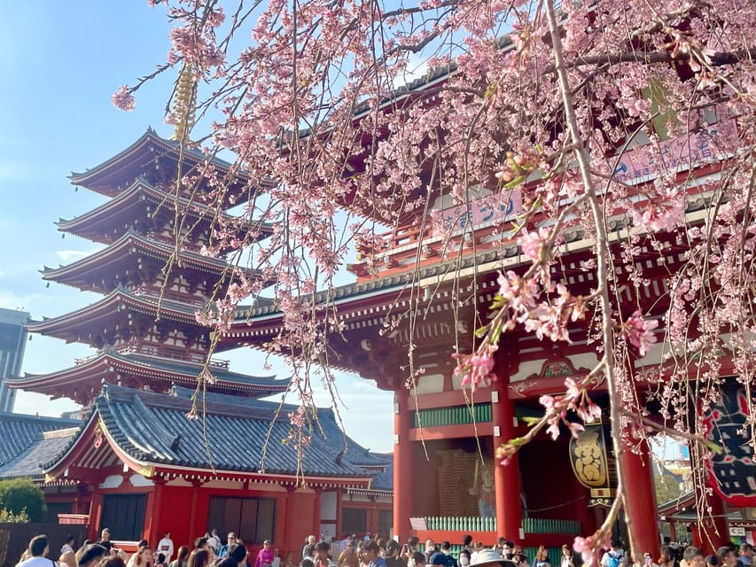 Tokyo : Asakusa Sensoji Temple Walking Tour Experience - Itinerary Highlights