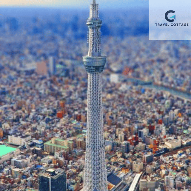 Tokyo Customize Private City Tour By English Speaking Driver - Itinerary Highlights