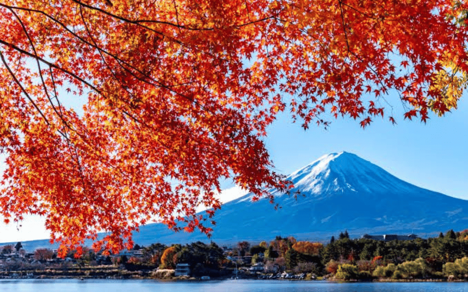 Tokyo Day Trip -Mount Fuji Private Tour From Tokyo - Stunning Fuji Five Lakes