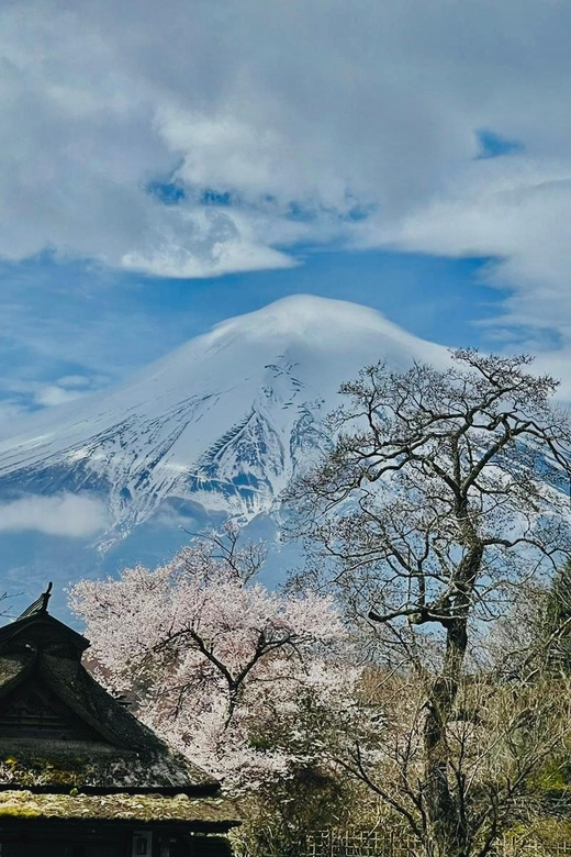 Tokyo: Mt Fuji and Hakone Full Day Private Tour - Pickup and Transportation