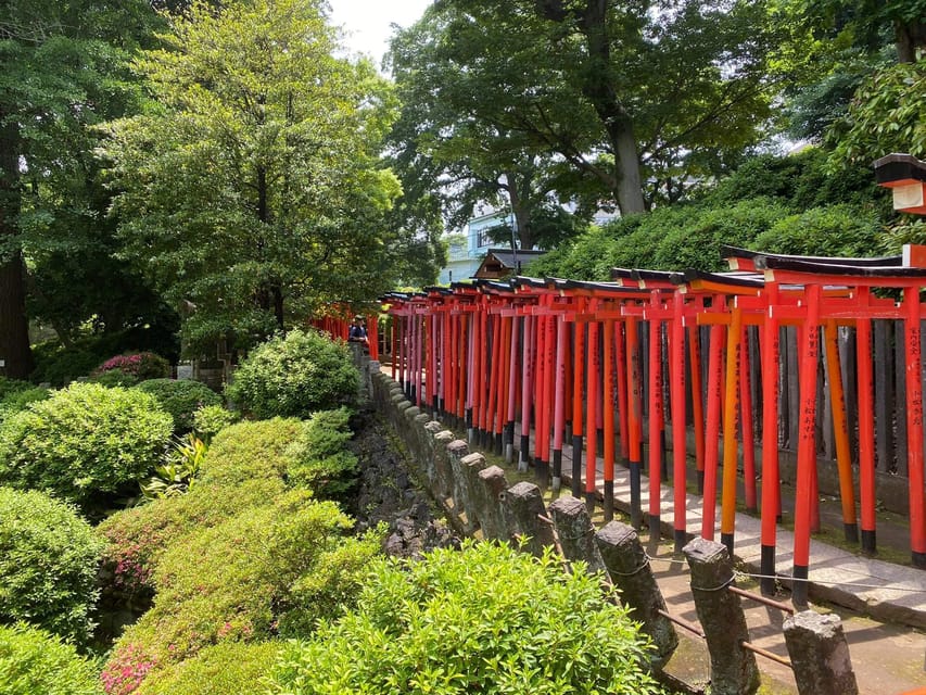 Tokyo : Old Town~Yanaka,Nezu~~Paint Your Own "Lucky Cat" - Tour Highlights