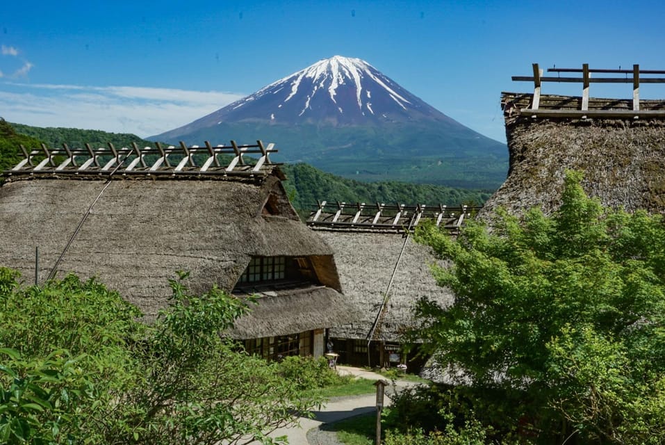 Tokyo: Private Mount Fuji Tour With Pickup and Drop-Off - Experience and Flexibility