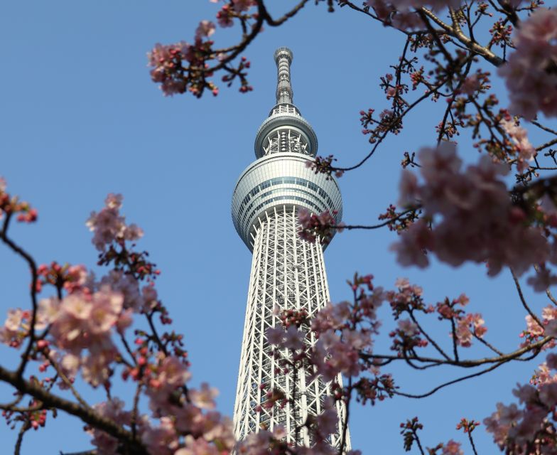 Tokyo Skytree: Admission Ticket and Private Hotel Pickup - Highlights and Features