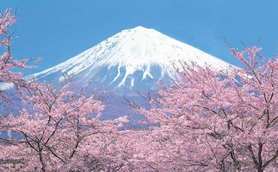 Tokyo to Mt. Fuji Area/Kawaguchiko Transfer Service - Vehicle Options