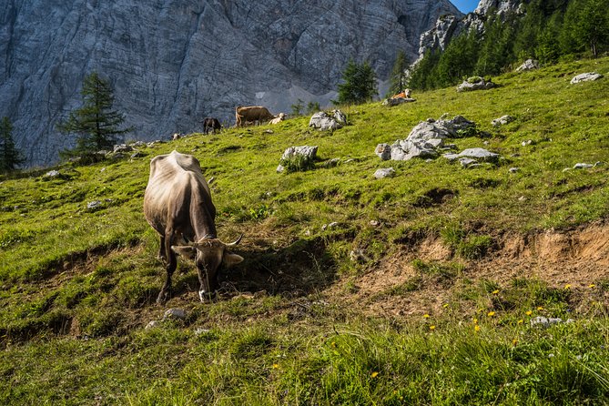 Triglav Tour in 2 Days Slovenia - Technical Equipment for Via Ferrata