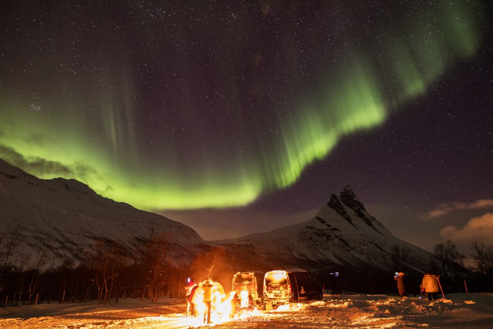 Tromso: Northern Lights Tour With Photographer - What to Expect