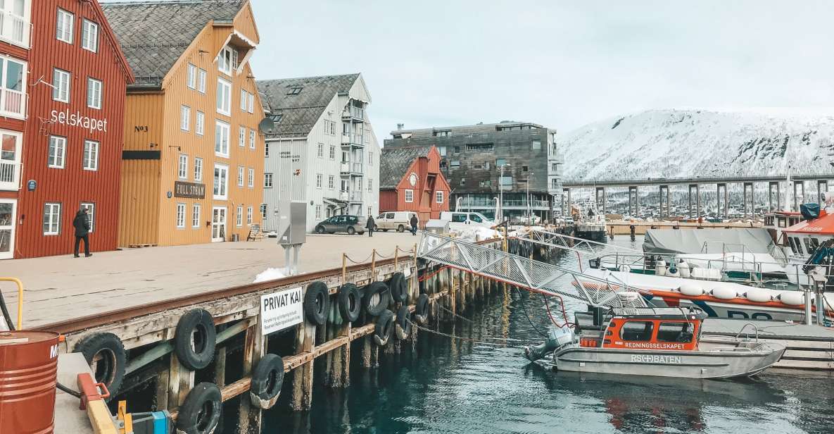 Tromsø: Private City Tour - Discovering Tromsøs Architecture and Design