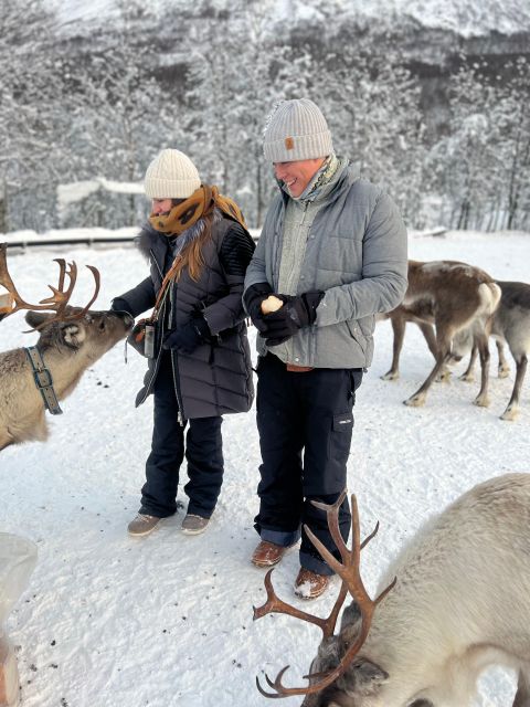 Tromsø: Reindeer Experience in Sami Camp - Location and Transportation