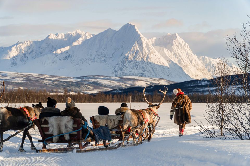 Tromsø: Sámi Reindeer Sledding and Sami Cultural Tour - Highlights of the Experience