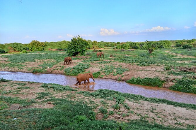 Tsavo East and Ngutuni Sanctuary Safari 3 Days From Mombasa - Pricing and Availability