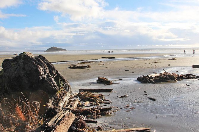 Vancouver to Tofino 2 Day Tour Private - Itinerary Overview