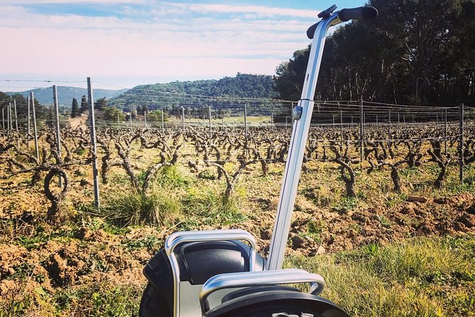 Vineyard Visit by Segway, Tour of Cellar & Tasting Wines of Bandol - Navigating the Cave Visit