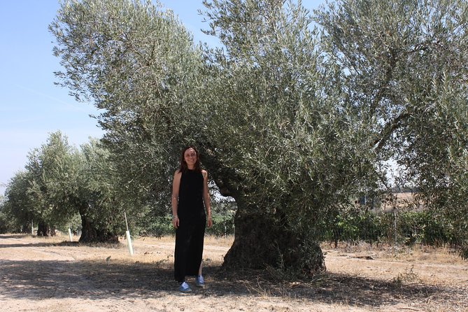 Visit Olive Grove Centenary With Oil Tasting Course - Experience Details