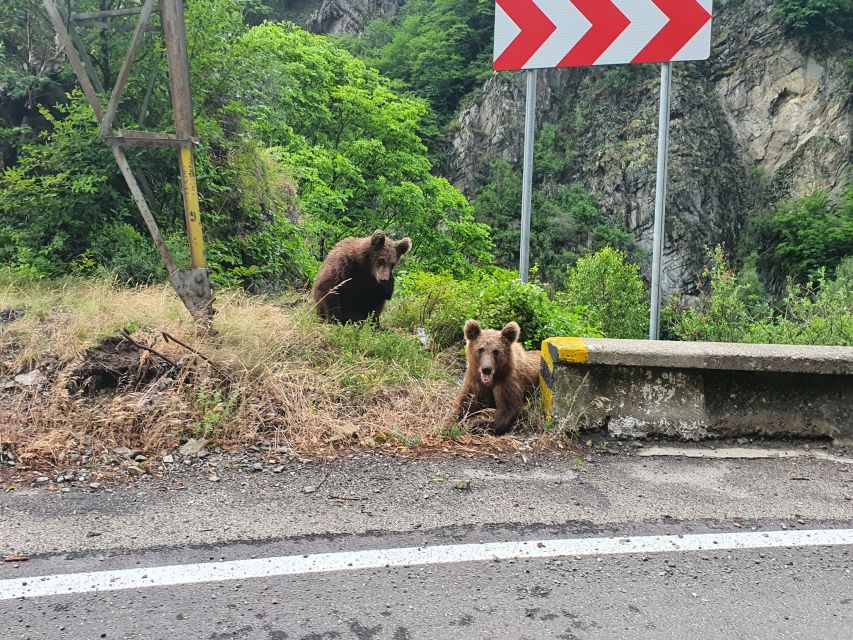 Wild Bears and Dracula Private Day Tour - Curtea De Arges Monastery