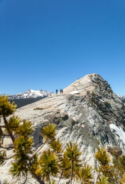 Yosemite National Park Guided Hike and Tour - Scenic Viewpoints and Short Hikes