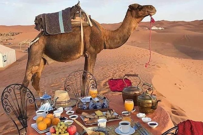 3-Days Desert Tour From Marrakesh - Key Points