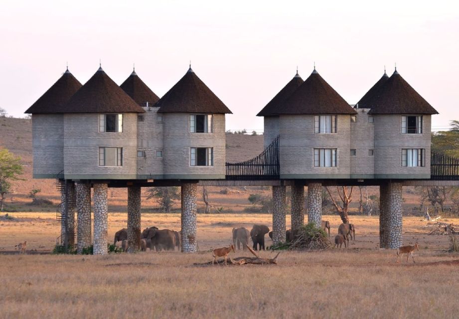 3 Days Safari to Saltlick Lodge From Nairobi - Key Points