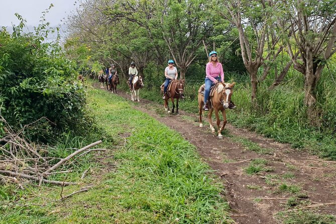 3 Hours Horseback Riding From Nature Trails to Sofa Stone - Overview of the Horseback Riding Tour