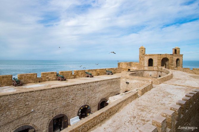 1 Day Excursion From Marrakech to Essaouira - Accessibility and Capacity