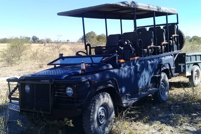 1 Day Moremi Game Drive Safari, Guided - Pricing and Availability