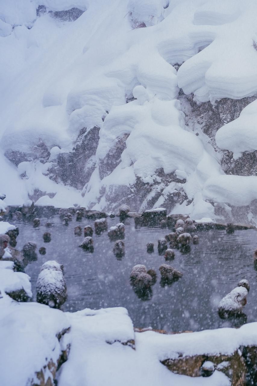 2-Day Snow Monkey Tour: Nagano To Takayama via Matsumoto - Zenko-ji Temple Visit