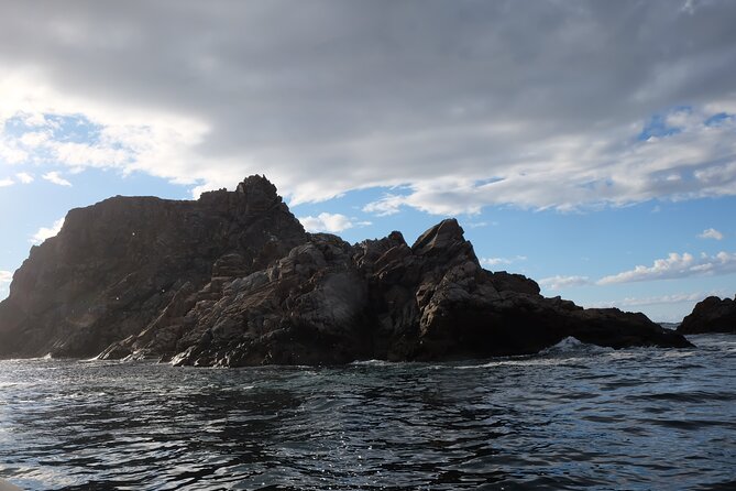 2 Hour Boat Tour in Twillingate - Onboard Amenities