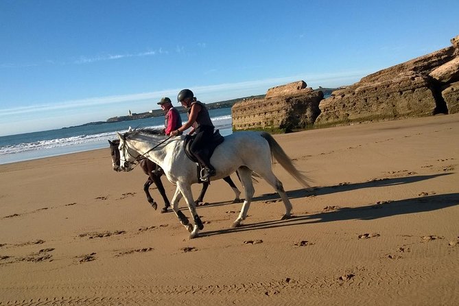 2 Hours Horse Ride Beach and Dunes in Essaouira Morocco - Beginner-Friendly Adventure