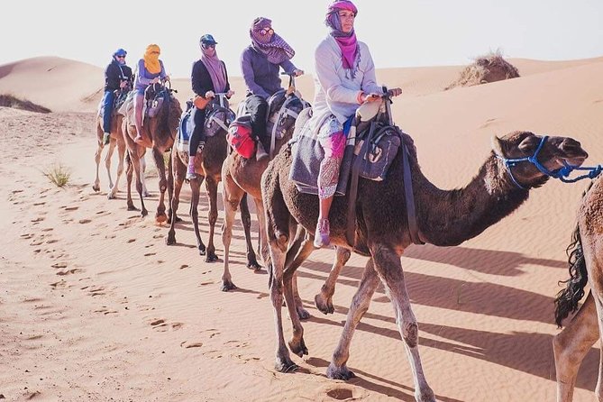 3 Day to Sahara Desert Trip From/To Marrakech - Meeting and Pickup