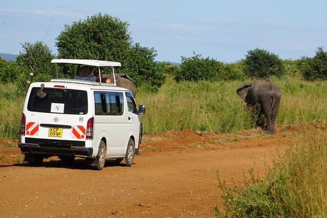 3 Days Maasai Mara Guided Safari From Nairobi - Mount Longonot National Park