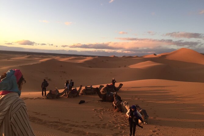 3 Days Morocco Desert Marzouga Tour From Marrakech to Fès - Whats Included