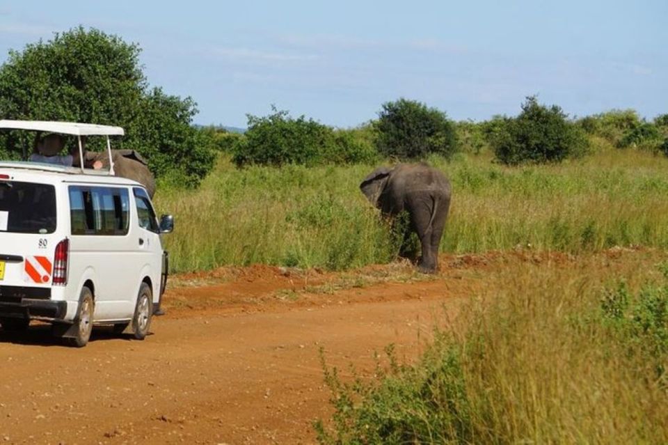 3 Days Safari to Saltlick Lodge From Nairobi - Pickup and Transportation