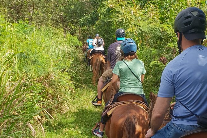 3 Hours Horseback Riding From Nature Trails to Sofa Stone - Transportation and Meeting Point Details