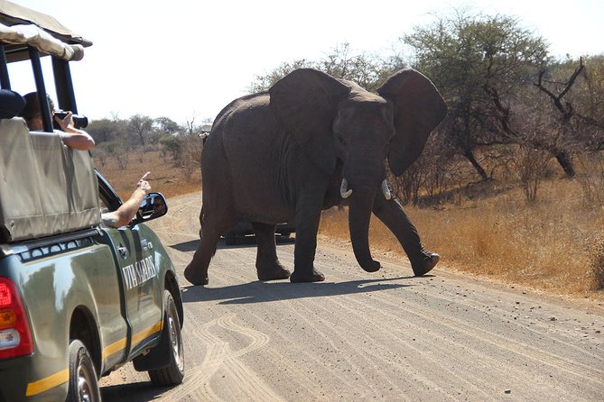 4 Day Classic Kruger National Park Safari - Accommodation and Meals