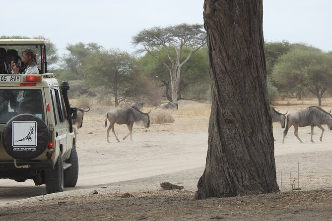 5-Days Lake Manyara, Serengeti, Ngorongoro Crater and Tarangire - Booking and Confirmation