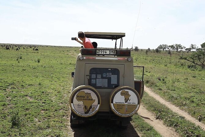 5 Days Tanzania Midrange Lodge Private Safari - Accessibility and Participation